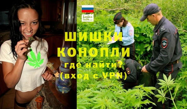 прущие крисы Алзамай