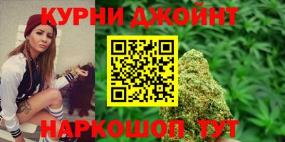 прущие грибы Владивосток