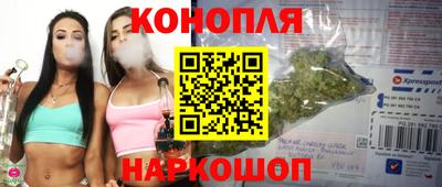 стафф Братск