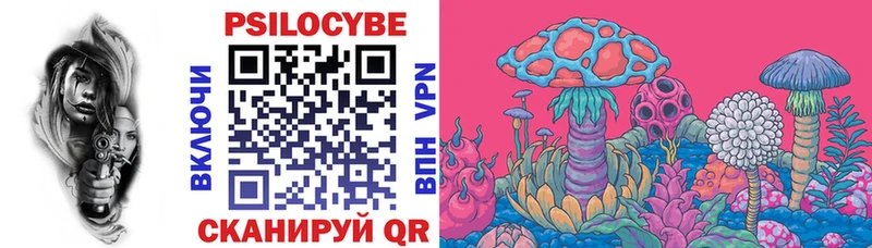 сайты даркнета официальный сайт  закладка  Аргун  Галлюциногенные грибы MAGIC MUSHROOMS 