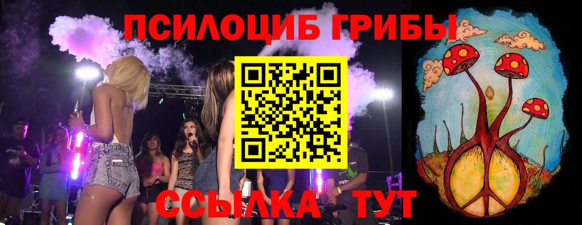 Аргун  Галлюциногенные грибы MAGIC MUSHROOMS  Вход с VPN 