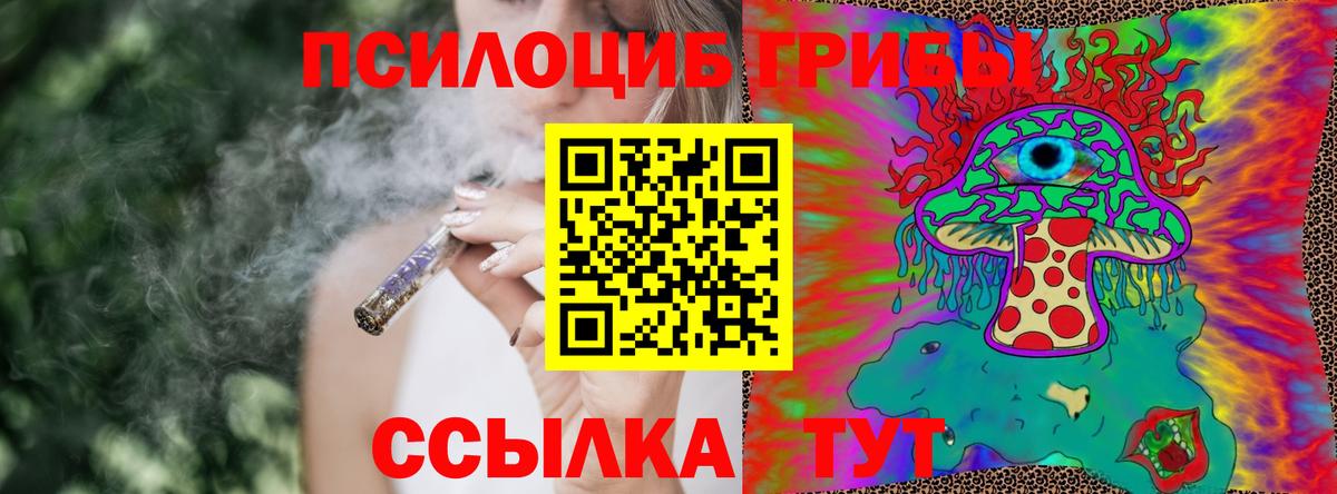Псилоцибиновые грибы Psilocybe Аргун