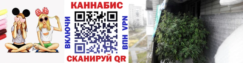 Каннабис Ganja Аргун
